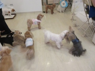 IMG_9579.jpg