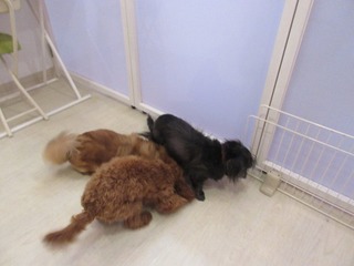 IMG_9597.jpg
