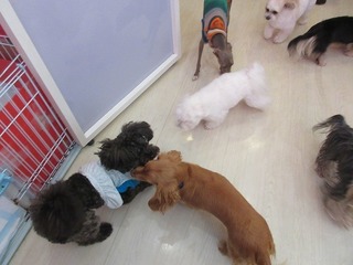 IMG_9671.jpg
