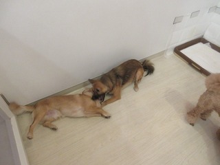 IMG_9674.jpg