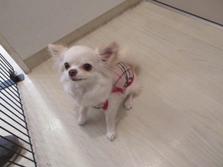 IMG_9685.jpg