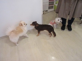 IMG_9688.jpg