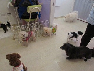 IMG_9692.jpg