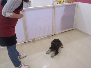 IMG_9718.jpg