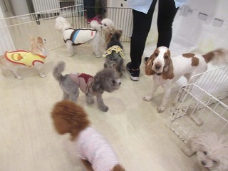 IMG_9720.jpg