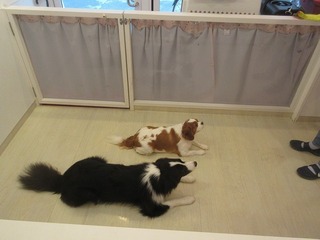 IMG_9728.jpg
