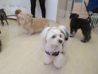 IMG_9741.jpg