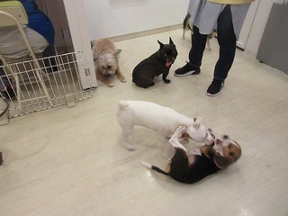 IMG_9758.jpg