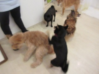 IMG_9759.jpg