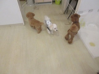 IMG_9773.jpg