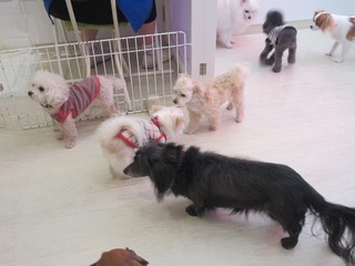 IMG_9776.jpg