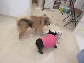 IMG_9777.jpg
