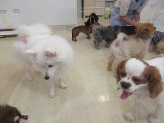 IMG_9782.jpg