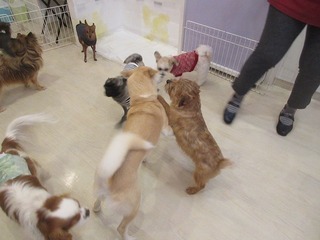 IMG_9796.jpg