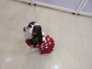 IMG_9797.jpg