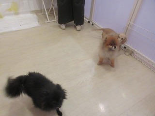 IMG_9839.jpg