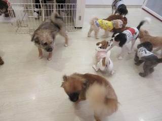 IMG_9846.jpg