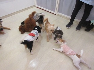IMG_9851.jpg