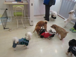IMG_9860.jpg