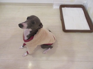 IMG_9887.jpg