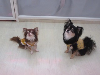 IMG_9923.jpg