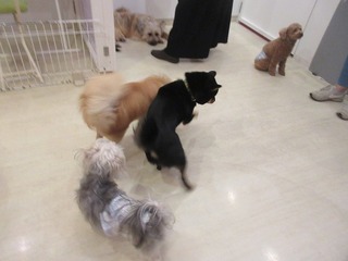 IMG_9965.jpg