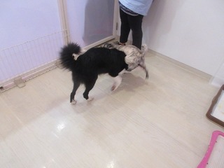IMG_9972.jpg