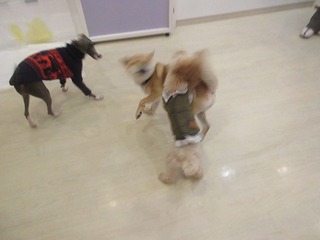 IMG_9981.jpg