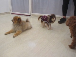 IMG_9988.jpg