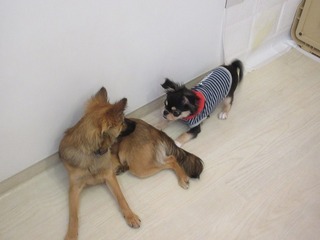 IMG_9990.jpg