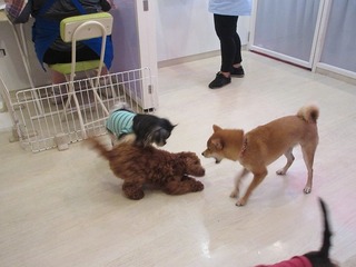 IMG_9996.jpg
